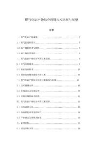 煤气化副产物综合利用技术进展与展望