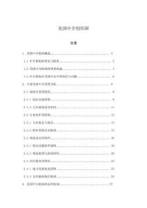 美國中介組織研