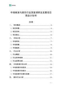 中场表演与娱乐行业深度调研及发展项目商业计划书