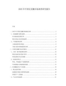 2025年中国尼龙辘市场调查研究报告