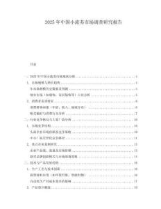 2025年中国小流苏市场调查研究报告