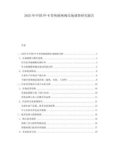 2025年中国PP-R管热熔闸阀市场调查研究报告