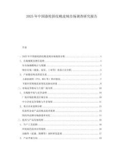 2025年中国涤纶斜纹桃皮绒市场调查研究报告