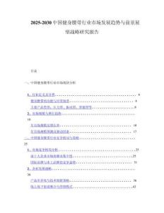 2025-2030中国健身腰带行业市场发展趋势与前景展望战略研究报告