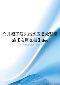 立井施工迎头出水应急处理措施【实用文档】doc