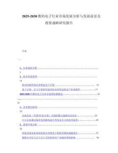 2025-2030数码电子行业市场发展分析与发展前景及投资战略研究报告