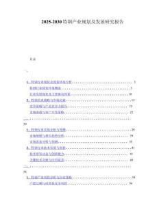 2025-2030特钢产业规划及发展研究报告
