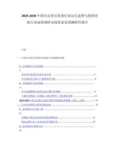 2025-2030中国自由基引发剂行业运行态势与投资时机行业深度调研及投资前景预测研究报告