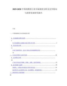 2025-2030中国润磨机行业市场现状分析及竞争格局与投资发展研究报告