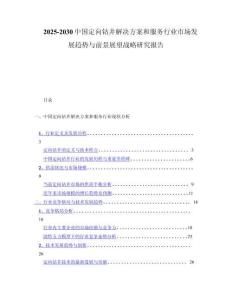 2025-2030中国定向钻井解决方案和服务行业市场发展趋势与前景展望战略研究报告