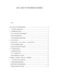 2025-2030年中国辛醇资金申请报告