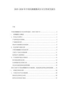 2025-2030年中国丙烯酸酯项目可行性研究报告