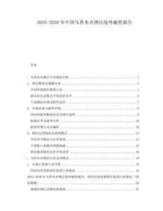 2025-2030年中国乌鲁木齐酒店境外融资报告