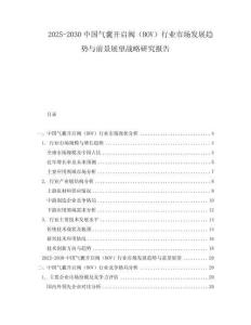2025-2030中国气囊开启阀（BOV）行业市场发展趋势与前景展望战略研究报告