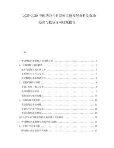 2025-2030中国绣花吊裙套袍市场发展分析及市场趋势与投资方向研究报告