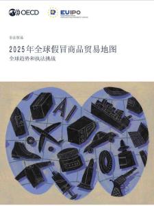 2025年全球假冒商品贸易地图：全球趋势与执法挑战（中文）-60页