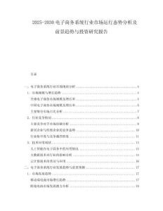 2025-2030电子商务系统行业市场运行态势分析及前景趋势与投资研究报告