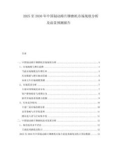 2025至2030年中国制动蹄片铆磨机市场现状分析及前景预测报告