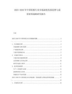 2025-2030年中国铝粉行业市场深度发展趋势与前景展望战略研究报告