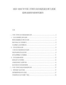 2025-2030年中国工作鞋行业市场发展分析与发展趋势及投资风险研究报告