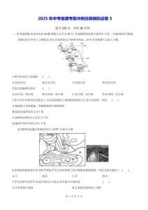 2025年中考地理考前冲刺仿真模拟试卷3（含答案解析）