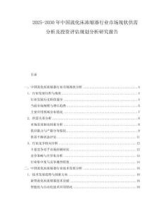 2025-2030年中国流化床浓缩器行业市场现状供需分析及投资评估规划分析研究报告