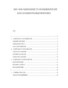 2025-2030电池供电的剪子行业市场现状供需分析及重点企业投资评估规划分析研究报告