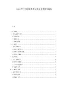 2025年中国超柔毛草绒市场调查研究报告