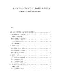 2025-2030年中国侧面叉车行业市场现状供需分析及投资评估规划分析研究报告