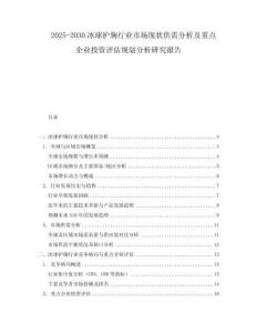 2025-2030冰球护胸行业市场现状供需分析及重点企业投资评估规划分析研究报告