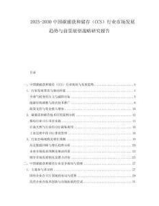2025-2030中国碳捕获和储存（CCS）行业市场发展趋势与前景展望战略研究报告
