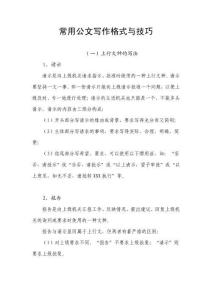 常用公文写作格式与技巧