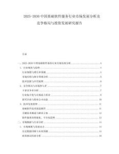 2025-2030中国基础软件服务行业市场发展分析及竞争格局与投资发展研究报告