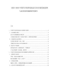 2025-2030中国汽车保养化妆品行业市场发展趋势与前景展望战略研究报告