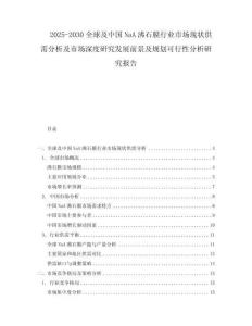 2025-2030全球及中国NaA沸石膜行业市场现状供需分析及市场深度研究发展前景及规划可行性分析研究报告