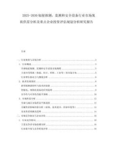 2025-2030辐射探测，监测和安全设备行业市场现状供需分析及重点企业投资评估规划分析研究报告