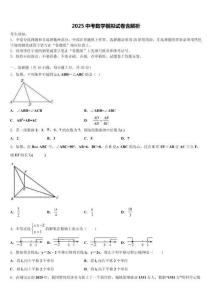 2025年江西省上饶市婺源县中考数学对点突破模拟试卷含解析