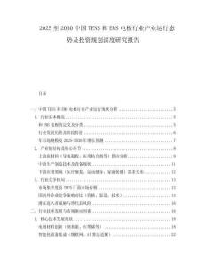 2025至2030中国TENS和EMS电极行业产业运行态势及投资规划深度研究报告