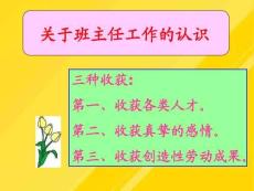 班主任工作经验介绍文档