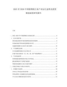 2025至2030中国除锈机行业产业运行态势及投资规划深度研究报告