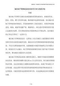 城市地下管网改造项目的可行性与风险评估