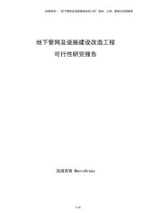 地下管网及设施建设改造工程可行性研究报告（模板）