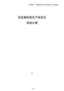包装黄标纸生产线项目实施方案