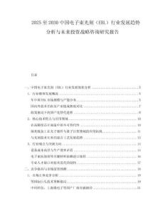 2025至2030中国电子束光刻（EBL）行业发展趋势分析与未来投资战略咨询研究报告