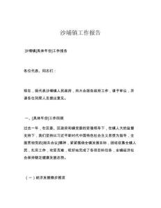 沙埔镇工作报告