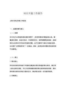 项目开题工作报告