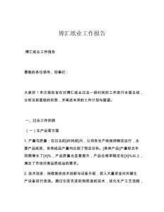 博汇纸业工作报告