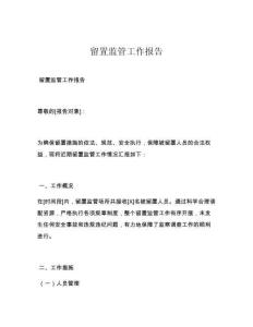 留置监管工作报告