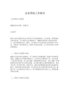 企業貫標工作報告