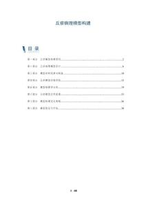 丘疹病理模型构建-洞察阐释